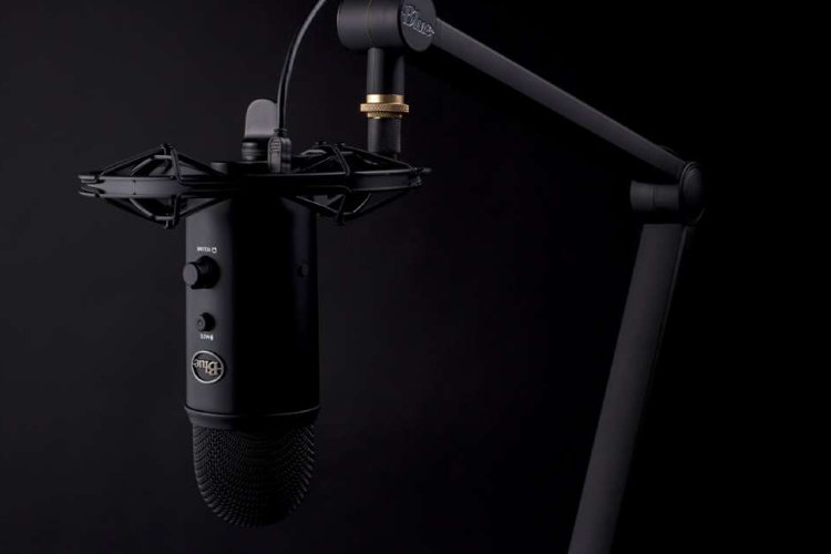 Направленность микрофона - что это и зачем? | Blue Microphones -  Официальный магазин в России