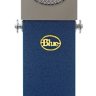 Blue Blueberry - Blue Blueberry