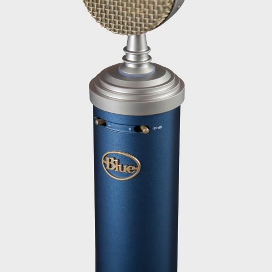 Blue Bluebird SL | Blue Microphones - Официальный магазин в России